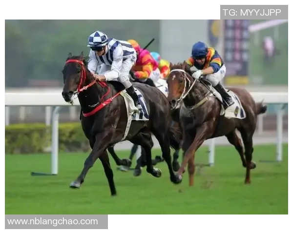 北京篮球队的华丽转身与未来展望锦标赛背后的故事与挑战 北京篮球队的华丽转身与未来展望锦标赛背后的故事与挑战